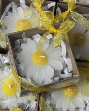 img_8205 Kraft Kutuda Papatya Mum (Hediyelik )